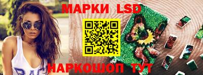 СК Ярославль