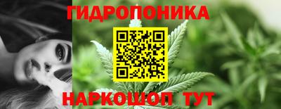 СК Ярославль