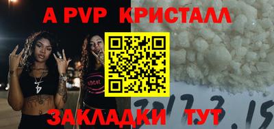 СК Ярославль