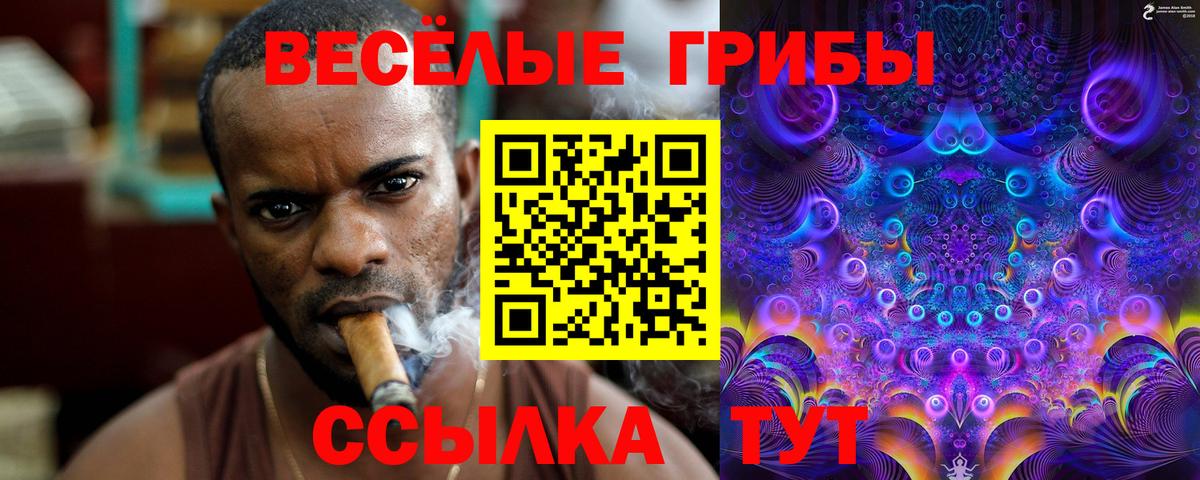 сколько стоит  Галлюциногенные грибы MAGIC MUSHROOMS  Вход с VPN  Рубцовск 